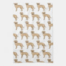 Recherche de labrador retriever cuisine linges Chien