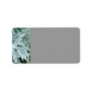 Recherche de multi région Plantes