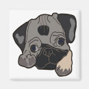 Recherche de carlin noir magnets Animal