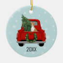 Recherche de blaireaux ornements Noël
