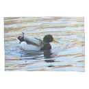 Recherche de natation photographie Étang