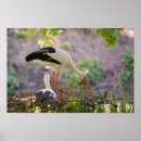 Recherche de migration posters Oiseau