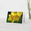 Recherche de thinking of you vœux cartes Flower