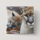 Recherche de panthère badges Animal