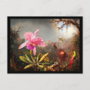 Recherche de orchidée rose cartes postales Colibri
