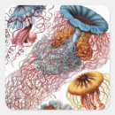 Recherche de animal marin autocollants Pour tous