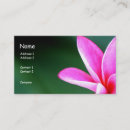 Recherche de plumeria cartes visite Fleuriste