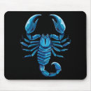 Recherche de scorpions tapis souris Zodiaque