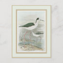 Recherche de marécage cartes postales Nature