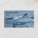 Recherche de dauphins cartes visite Nautique