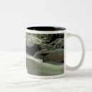 Recherche de île tasses Luxuriant