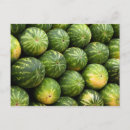 Recherche de pastèque cartes postales Marché des agriculteurs