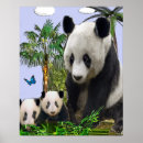 Recherche de panda drôle posters Animaux
