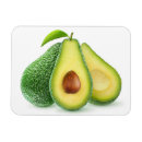 Recherche de avocat magnets Fruit