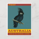 Recherche de oiseau australien cartes postales Travel
