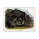 Recherche de américain magnets Illustration