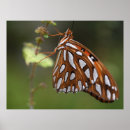 Recherche de vanille art Orange