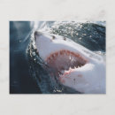 Recherche de image dange cartes postales Image en couleur