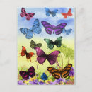 Recherche de beau papillon cartes postales Fleurs