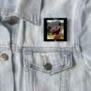 Recherche de ostrich badges Animal