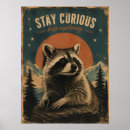 Recherche de raton laveur posters Nature