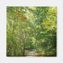 Recherche de centenaire magnets Nature