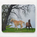 Recherche de art cheval tapis souris Chevaux