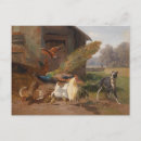 Recherche de peinture de paon cartes postales Pour tous