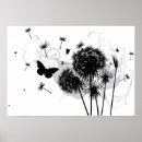 Recherche de taraxacum posters Flower