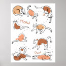Recherche de chat fou posters Félin