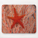 Recherche de fish tapis souris Sealife