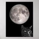 Recherche de prédateurs posters Chat