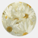 Recherche de 1 ronds autocollants Blanc