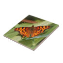 Recherche de butterfly carreaux Insecte