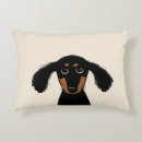 Recherche de teckels coussins Chien
