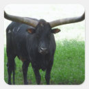 Recherche de longhorn autocollants Animal