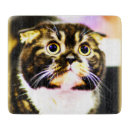 Recherche de humour chat de ustensiles cuisine Animal