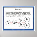 Recherche de mitose posters Science