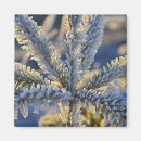 Recherche de gel magnete Hiver