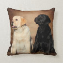 Recherche de chiot labrador coussins Chien d'arrêt