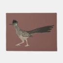 Recherche de roadrunner Oiseau