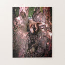 Recherche de raccoon puzzles Faune