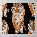 Recherche de tigres posters Mignon