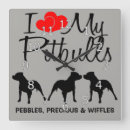 Recherche de pitbull horloges Amour