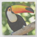 Recherche de toucans dessous de verres Animal