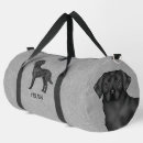 Recherche de labrador sacs Mignon