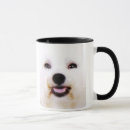 Recherche de frises bichon tasses De frise de bichon