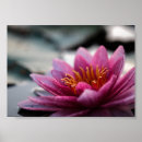 Recherche de bouddha nature posters Yoga
