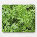 Recherche de carottes tapis souris Nature