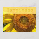 Recherche de sunflower cartes postales Floral